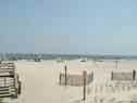 Dunes at Folly Beach
