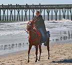 American Heart Association horses on the beach