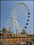 Myrtle Beach Sky Wheel - Landshark