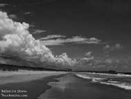Myrtle Beach State Park - Waiting for the Storm