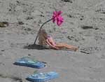 Even Barbie likes Myrtle Beach State Park