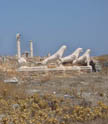 Delos Ruins