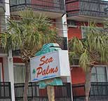 Sea Palms