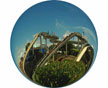 Myrtle Beach Pavilion roller coaster