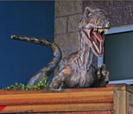 IMAX 3D - Reptile Show